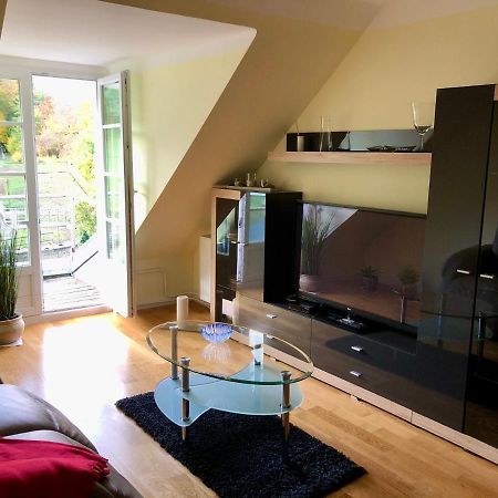 Ferienwohnung Im Gruenen Auf Idyllisch Gelegenen Gutshof Und Doch So Zentral Waldshut-Tiengen Esterno foto
