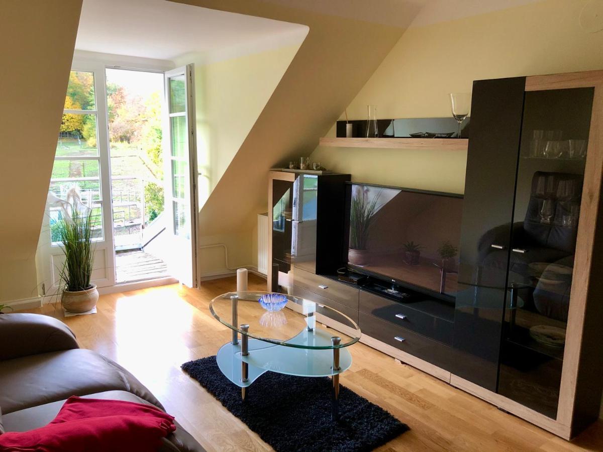 Ferienwohnung Im Gruenen Auf Idyllisch Gelegenen Gutshof Und Doch So Zentral Waldshut-Tiengen Esterno foto