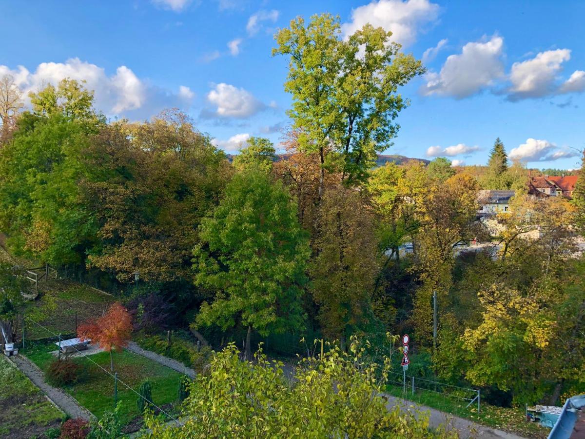 Ferienwohnung Im Gruenen Auf Idyllisch Gelegenen Gutshof Und Doch So Zentral Waldshut-Tiengen Esterno foto